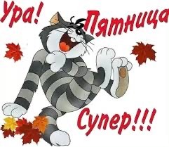 Прикольные и просо красивые картинки 05.09.2025