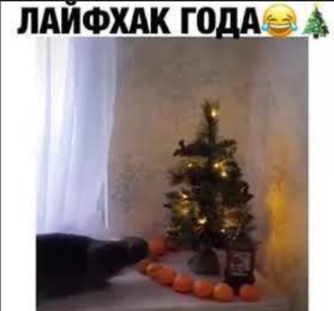 Готовьтесь