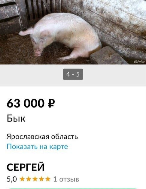 Пятничные картинки