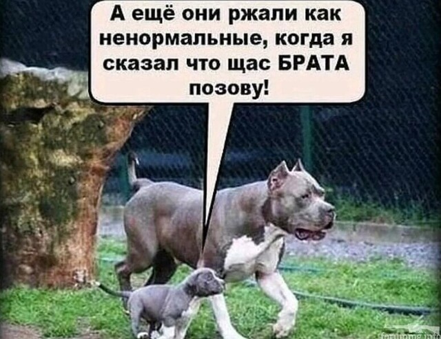 Веселые картинки в понедельник (19.01)