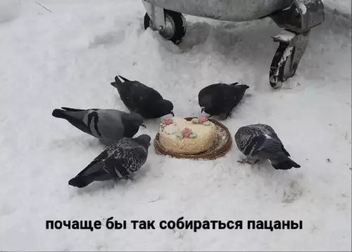 Картиночки, баянчики 06 марта