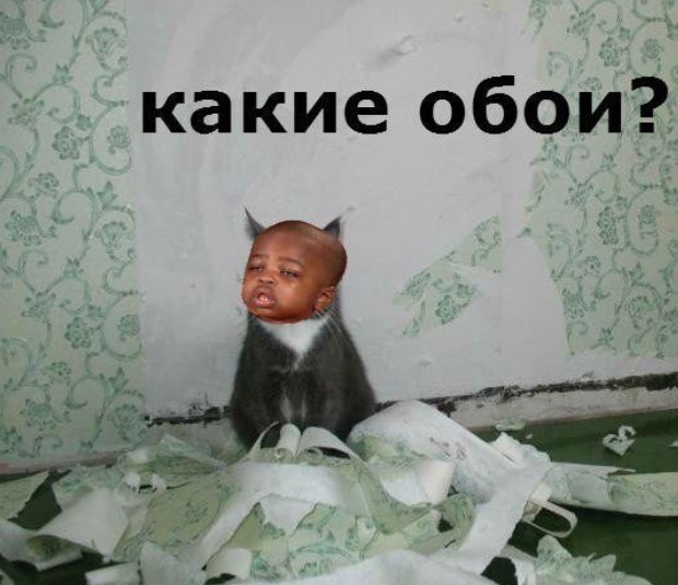 Картинки для деградации 254 (разной степени сежести)