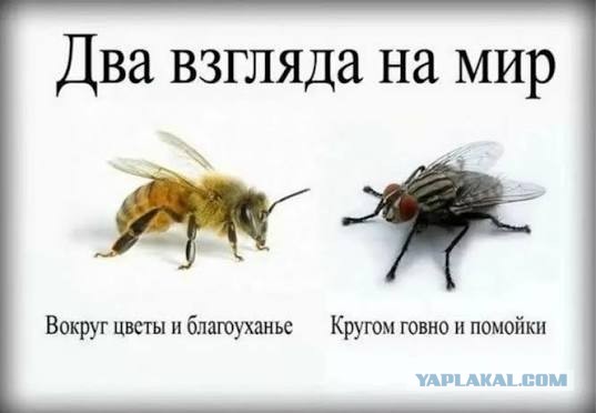 В гробу карманов нет.