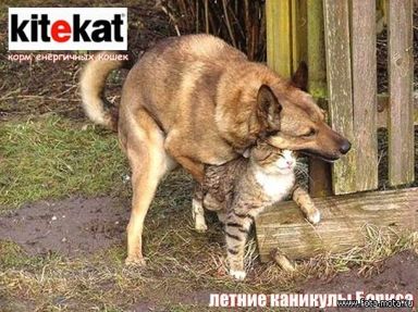Да ты лежи, лежи...
