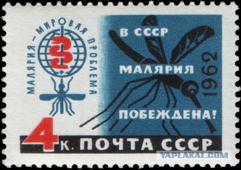 10 инфекций, побежденных людьми
