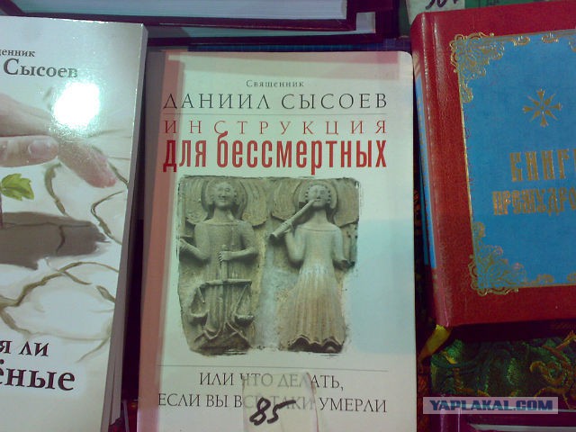 Не оскудеет земля идиотами