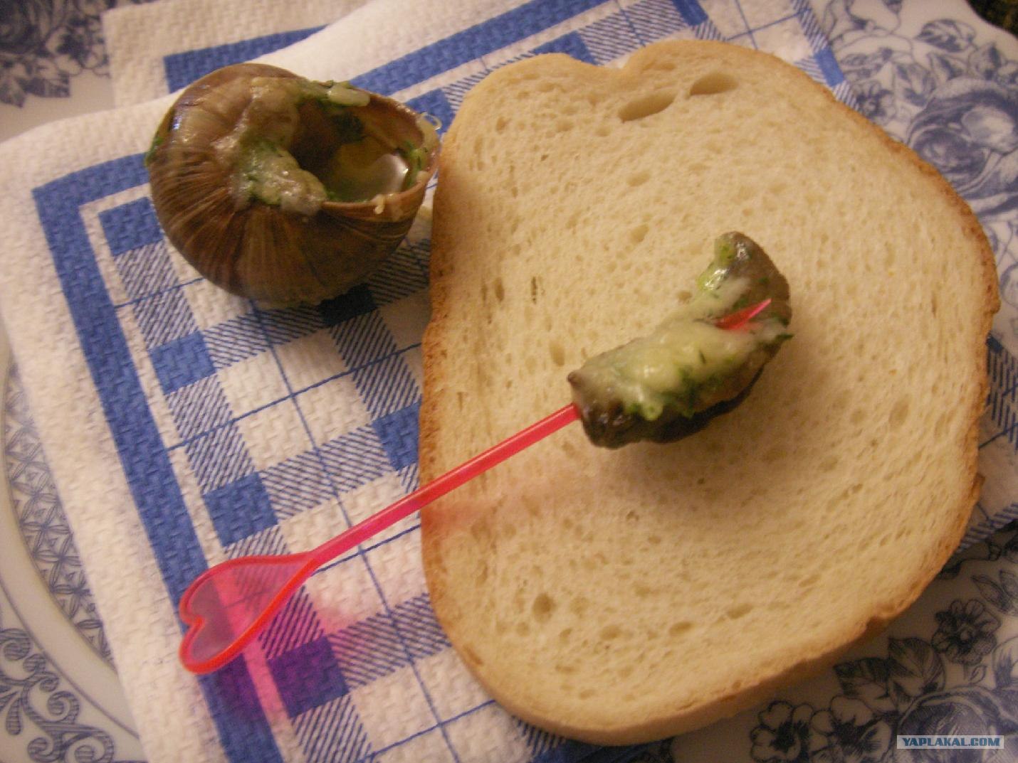 Козявка