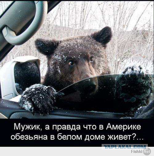 Про санкции США