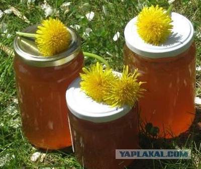 Пищевые привычки. Все из детства