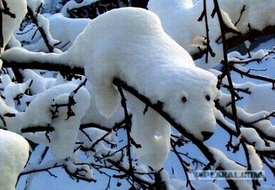 Позитивные картинки