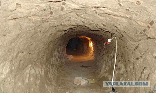 Контрабанда наркотиков