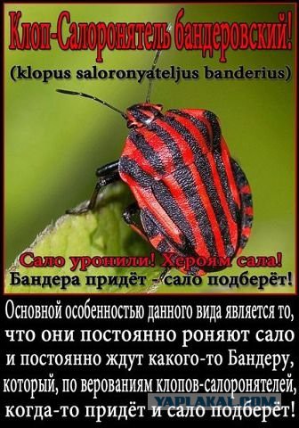 В Луганске сбили Ил-76