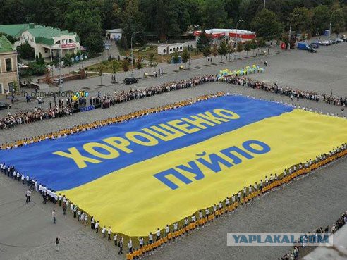 Прокиевский батальон «Донбасс» приехал «посмотреть