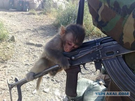 Новый АК для новой России