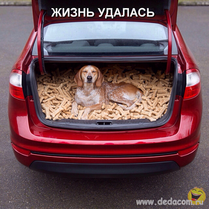 Картинки для настроения