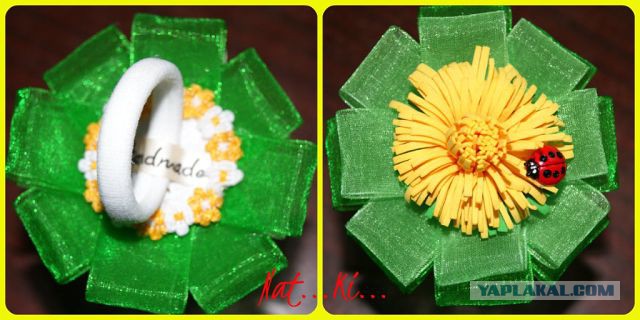 Красивое увлечение супруги