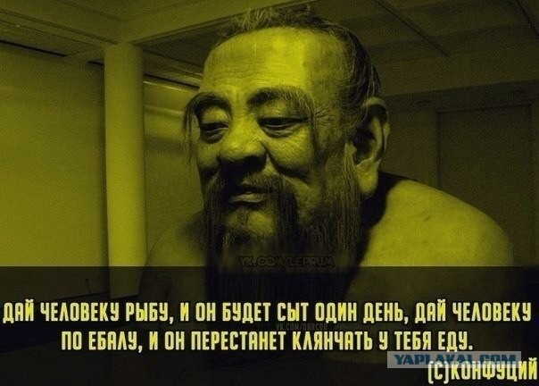Свежие картинки из сети