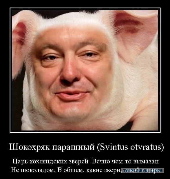 Фотошопная "фауна" Украинской Рады