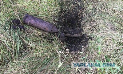 Моё запрещённое увлечение - металлопоиск