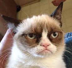 Журнал рекордов.