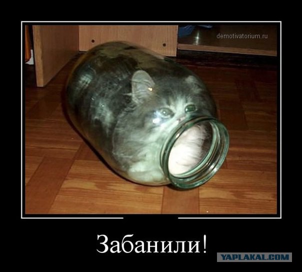 Wargaming 17