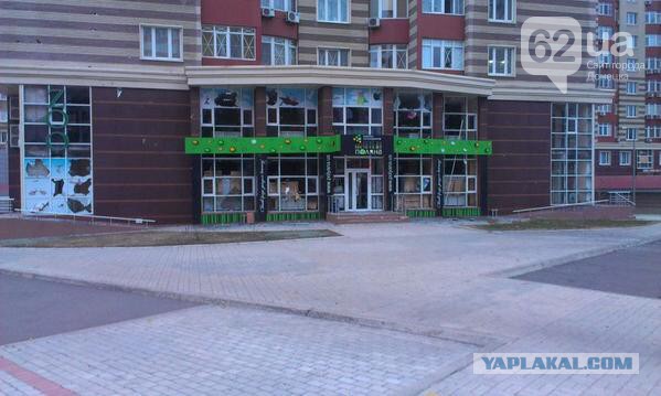 Перемирие кончилось, едва начавшись.