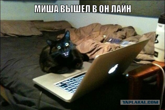 Как я машину без подголовников купил)