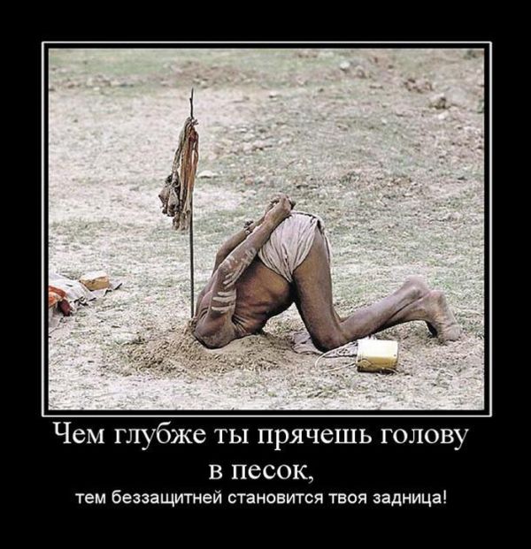 Демотиваторы