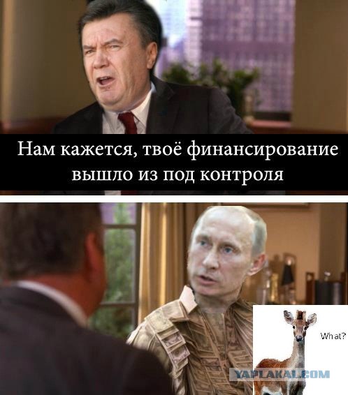 вышло из под контроля 7. вышло из под контроля 7. топ 10 пранков вышедших из под контроля мем. вышло из под контроля 7. выйти из под контроля.