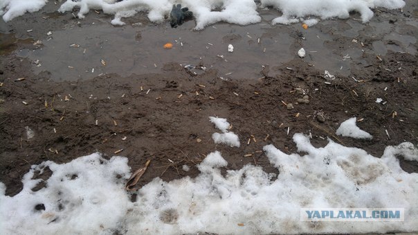 Финляндия. Подъезд нашего дома.