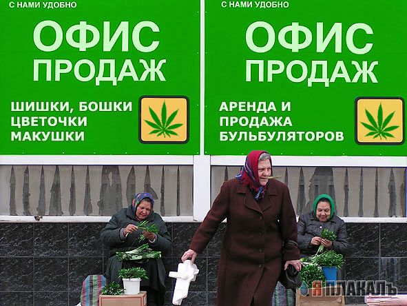 Фотожаба: Офис продаж билайна