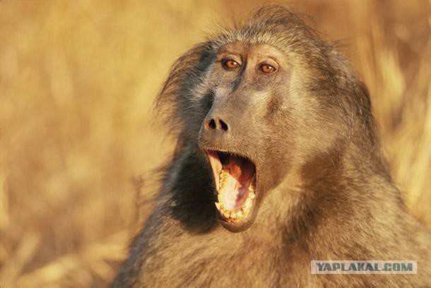 Как живется в национальной Республике