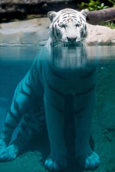 Подборка картинок на среду