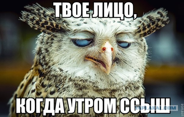 Подборка идиотских фотографий часть 3