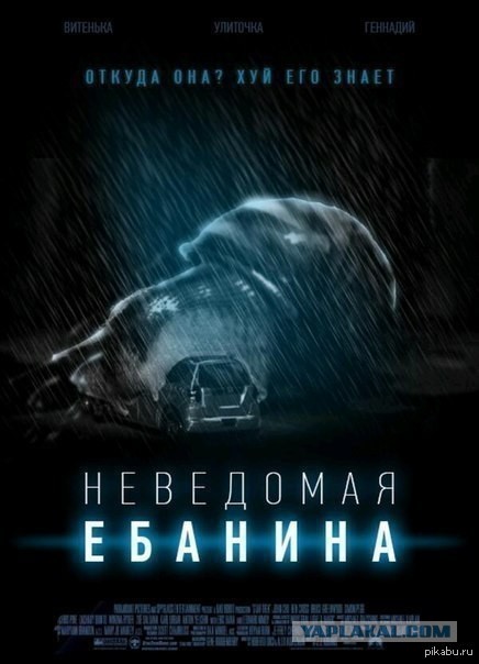 Удар в спину: с какими милыми животными нужно быть поосторожнее