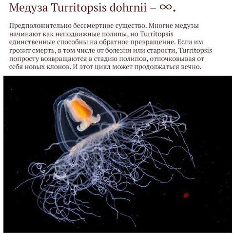 Картинки разные