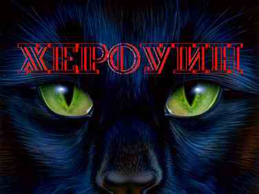 ХЭЛОУИН. Празднуем Halloween