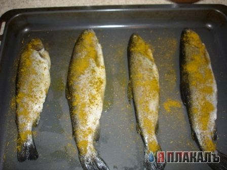 Все из рыбы!