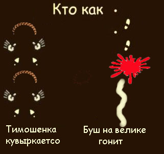 Фотожаба: Кто как ходит