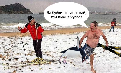 На лыжах по асфальту