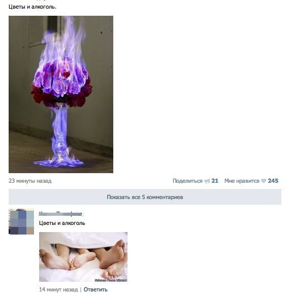 Картинки и приколы из сети