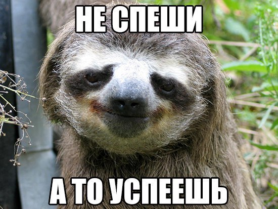 Прикольные животные