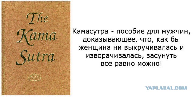 Смешные комментарии из социальных сетей 23.09.2016