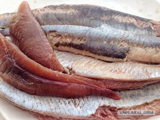 Посиделки под селёдку