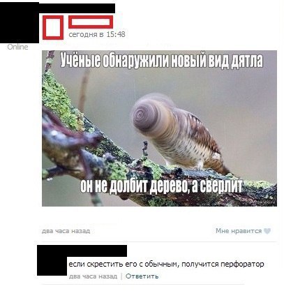 Ужасы и приколы из соцсетей 18+