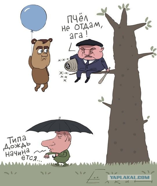 Семья просто хотела проверить счётчик воды