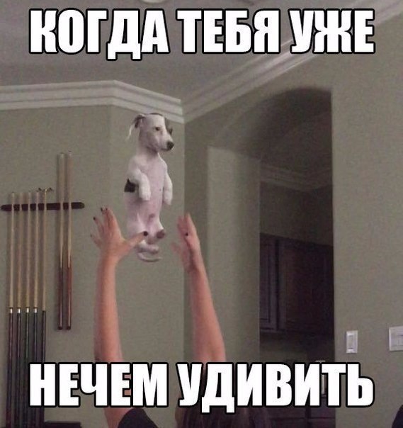 Порция картинок на выходные
