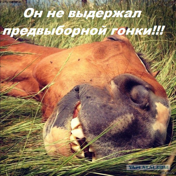 Жириновский Затулина обложил матом.