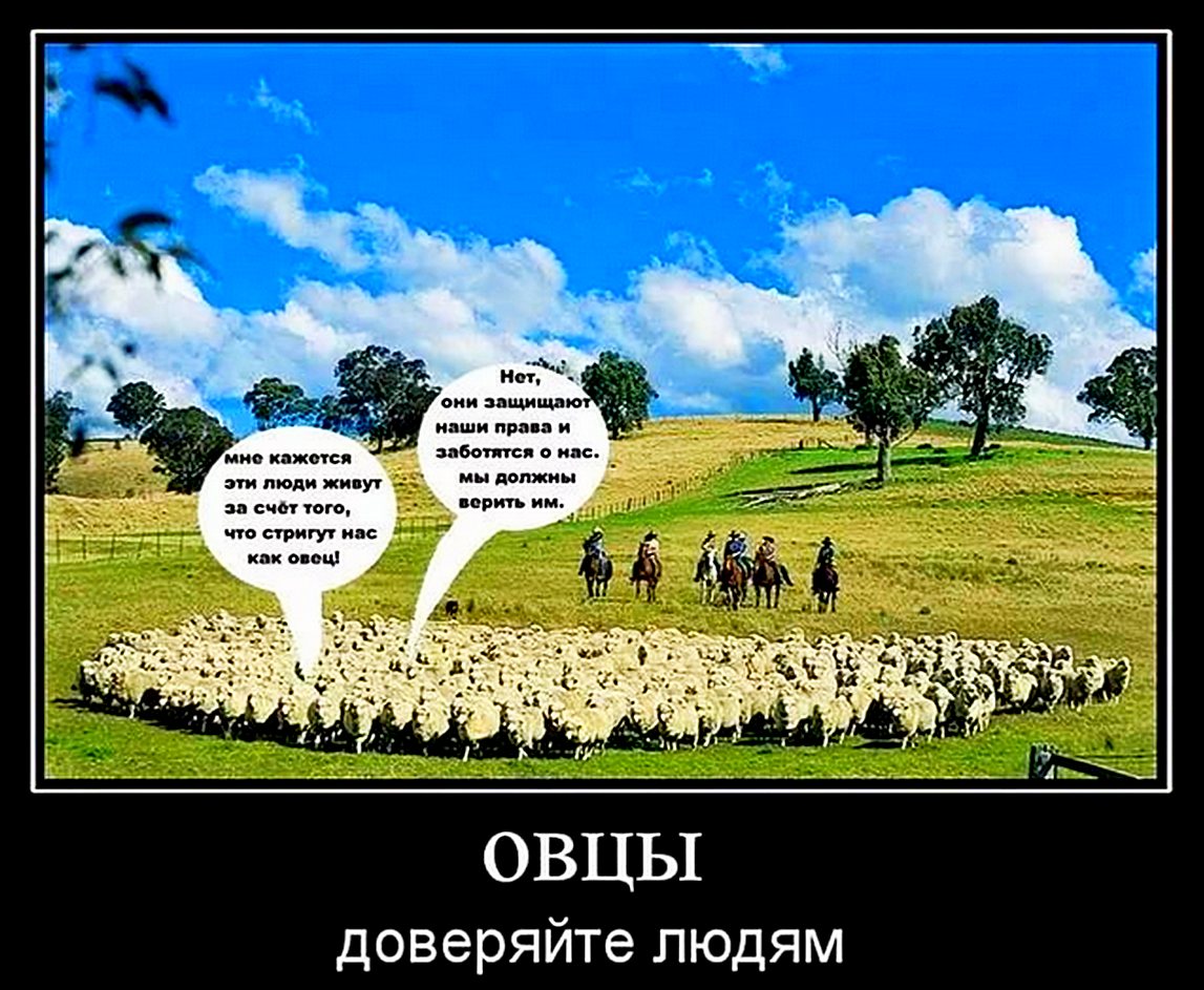 Поговорка Про Баранов