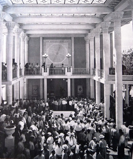 Шурпа обыкновенная, на природе